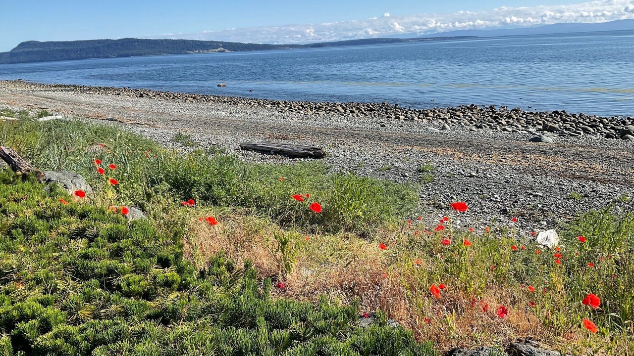 Photo of Others in Regional District of Nanaimo