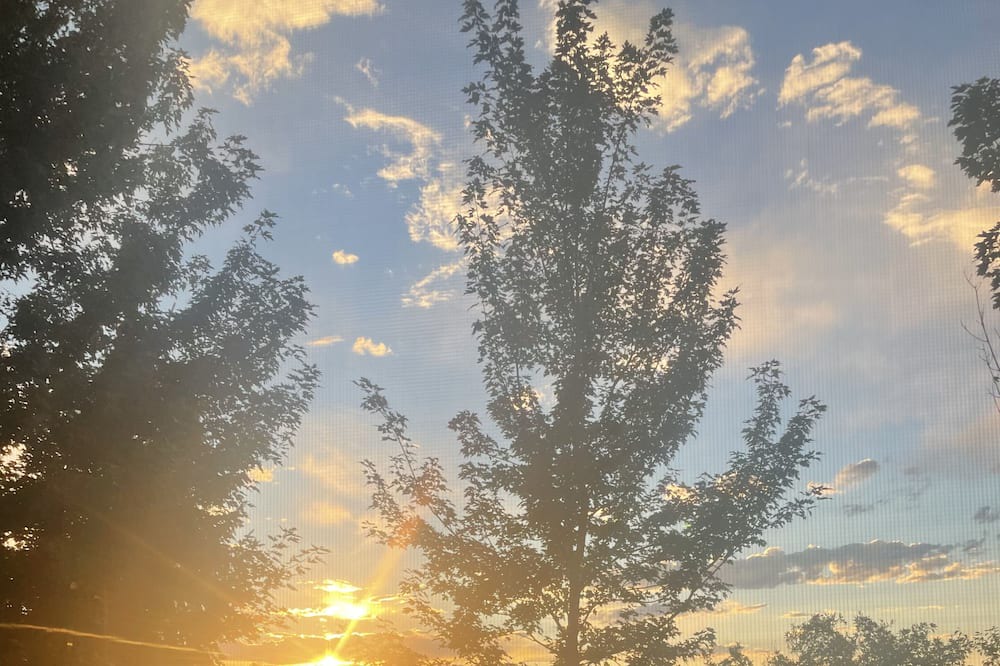 Photo of Outdoor in Castle Pines North