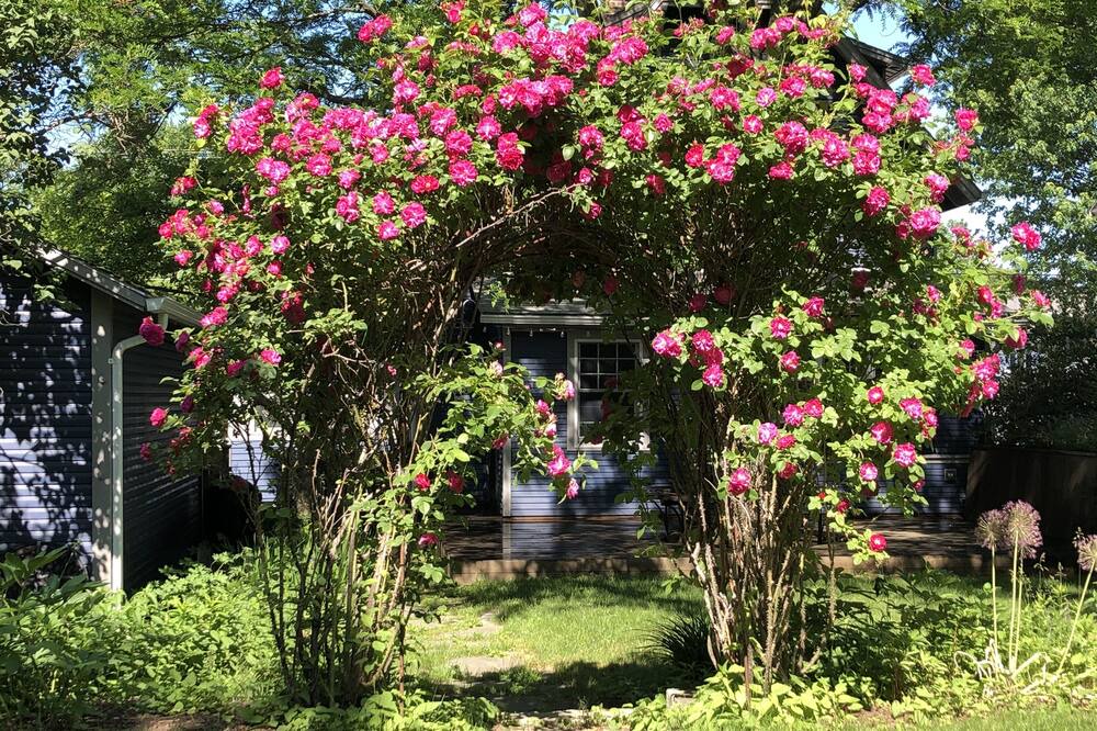 Photo of Outdoor in South End