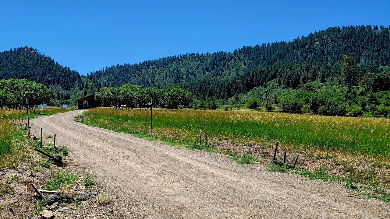 Photo of Others in Pagosa Springs