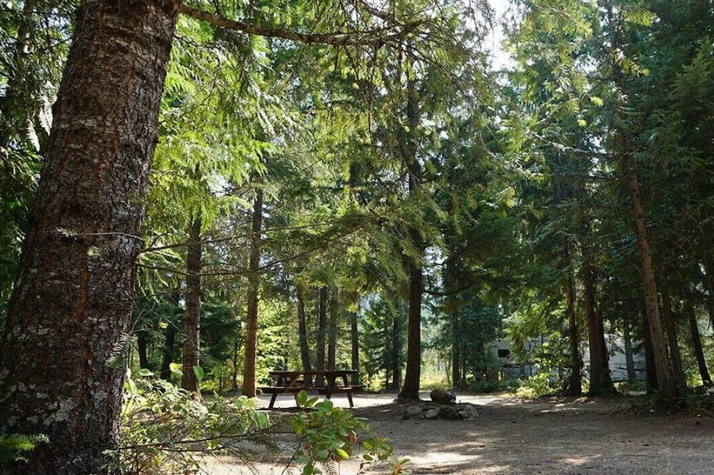 Photo of Outdoor in Malakwa