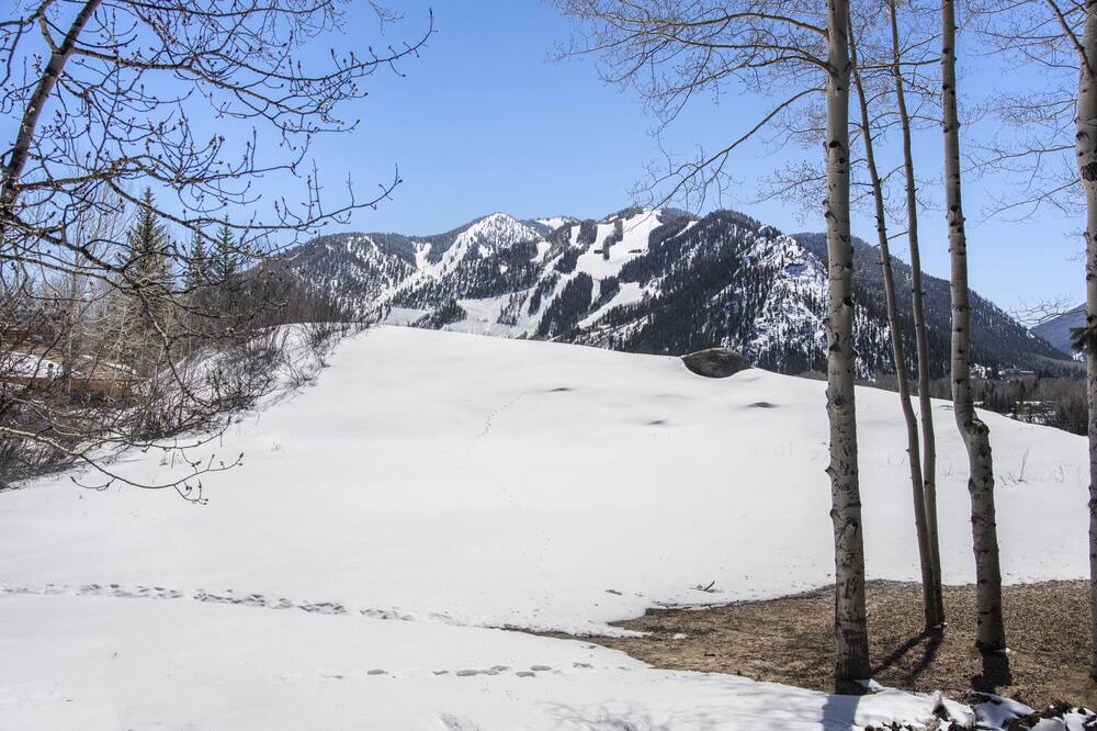 Photo of Others in Red Mountain