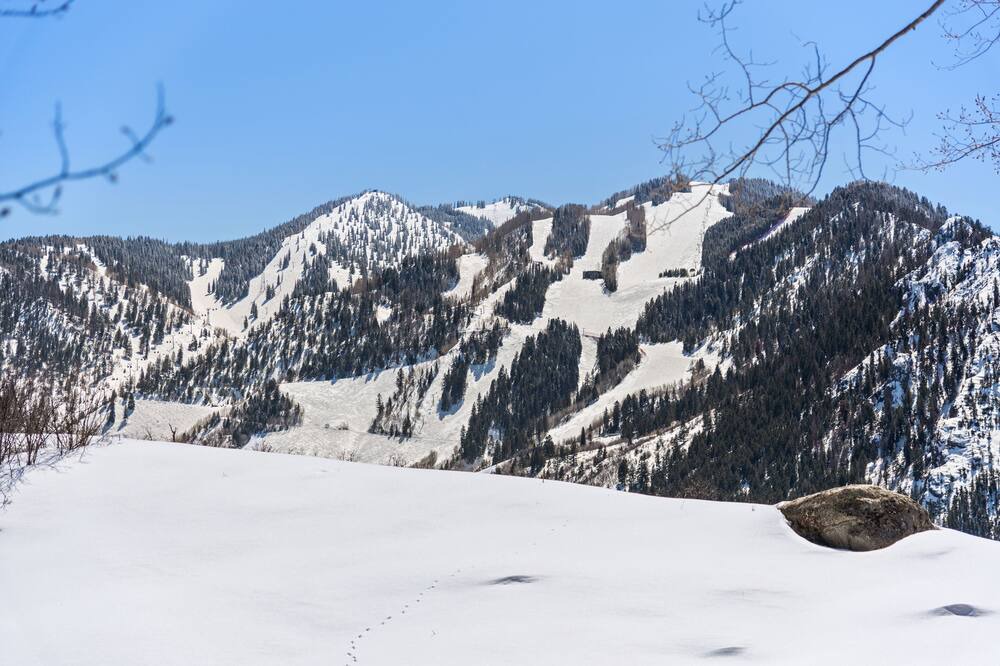 Photo of Others in Red Mountain