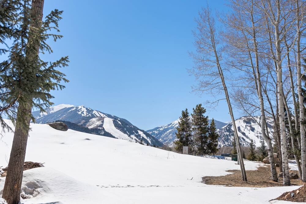 Photo of Others in Red Mountain