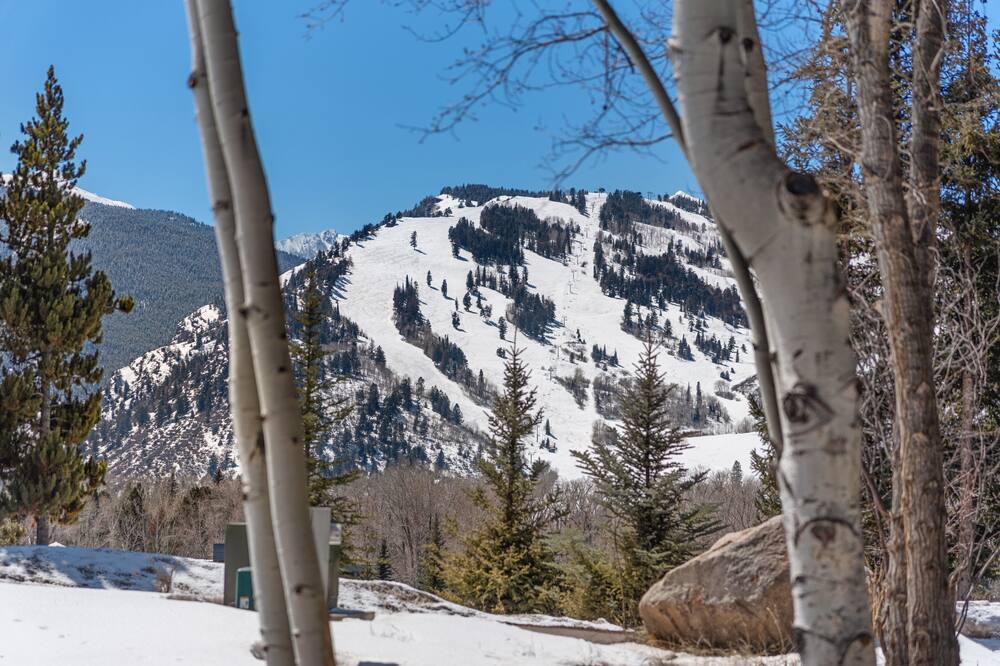 Photo of Others in Red Mountain