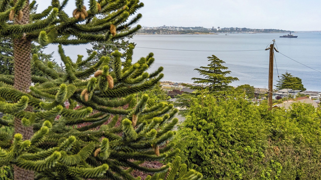 Photo of Others in Colwood