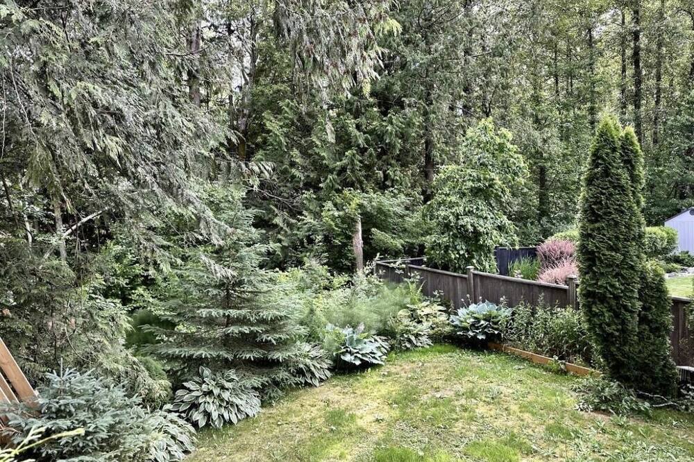 Photo of Outdoor in Brackendale