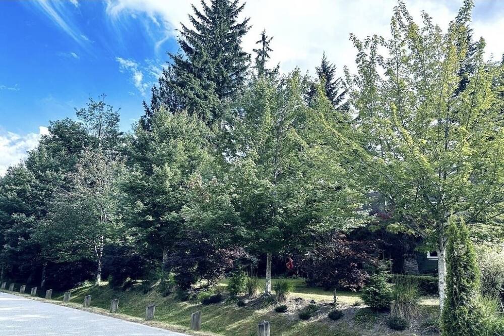 Photo of Outdoor in Brackendale