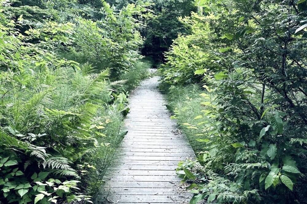 Photo of Outdoor in Brackendale