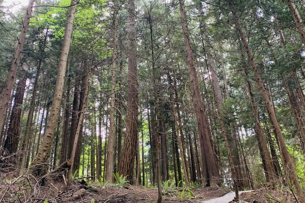 Photo of Outdoor in West Porpoise Bay