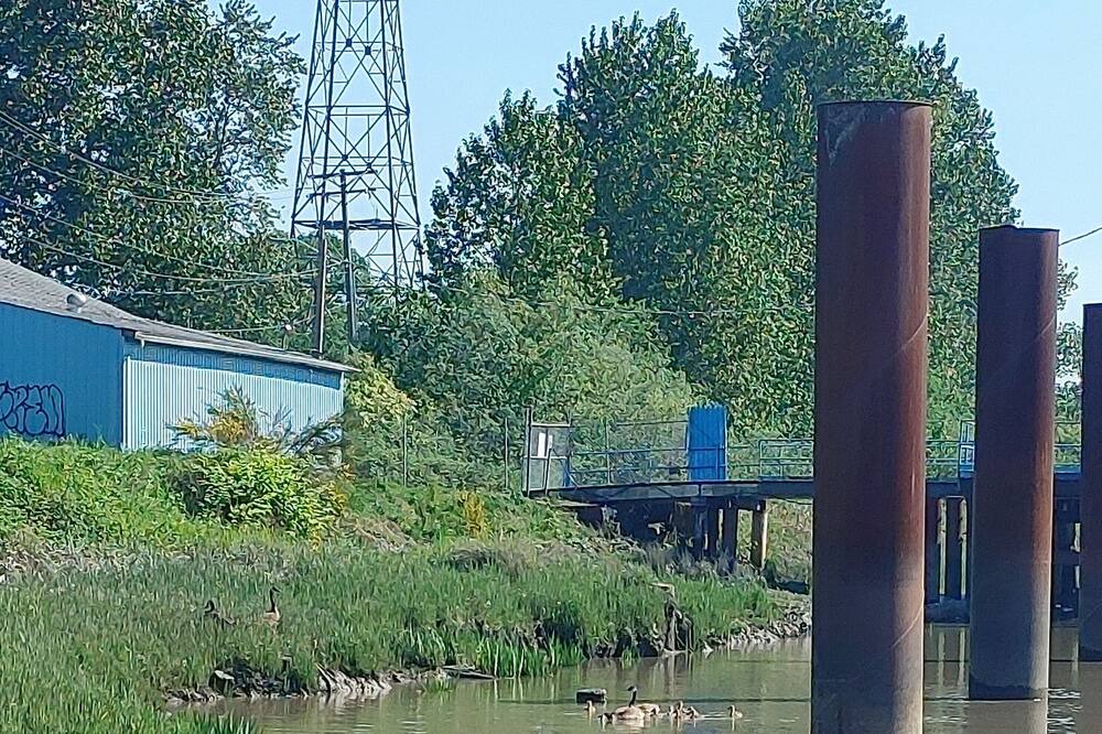 Photo of Others in Queensborough