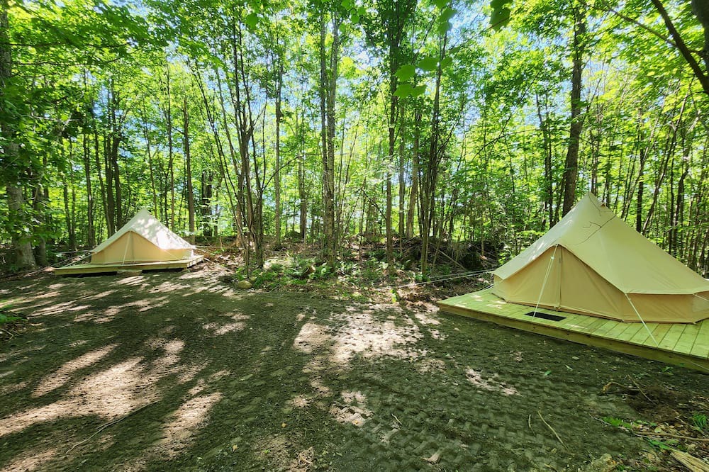 Photo of Outdoor in Errol