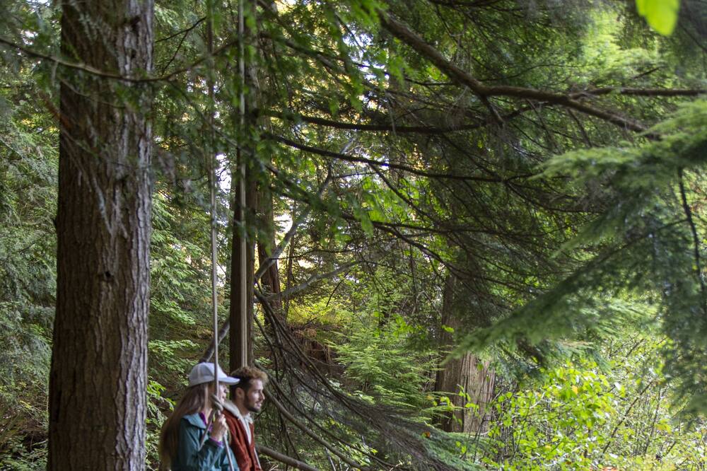 Photo of Others in Port Moody