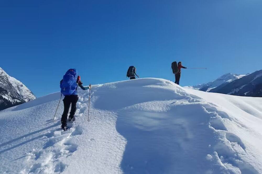 Photo of Others in Garibaldi Highlands