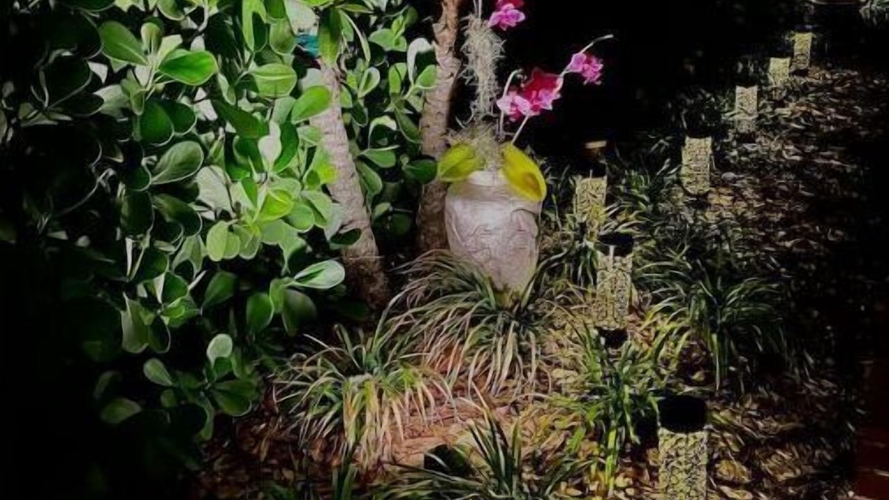 Photo of Outdoor in Parrot Cove