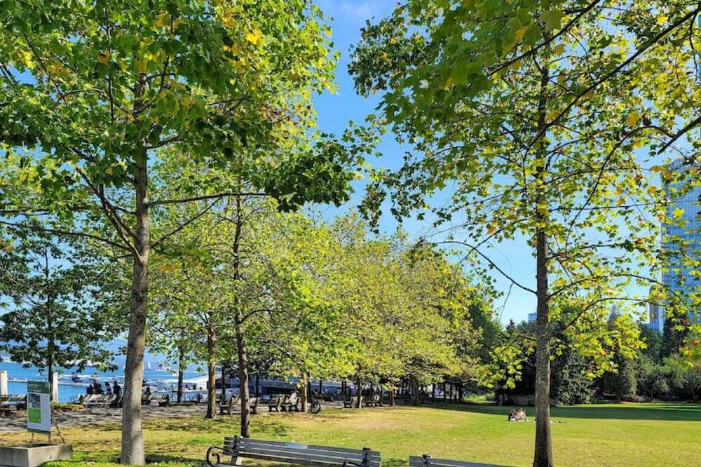 Photo of Others in Coal Harbour