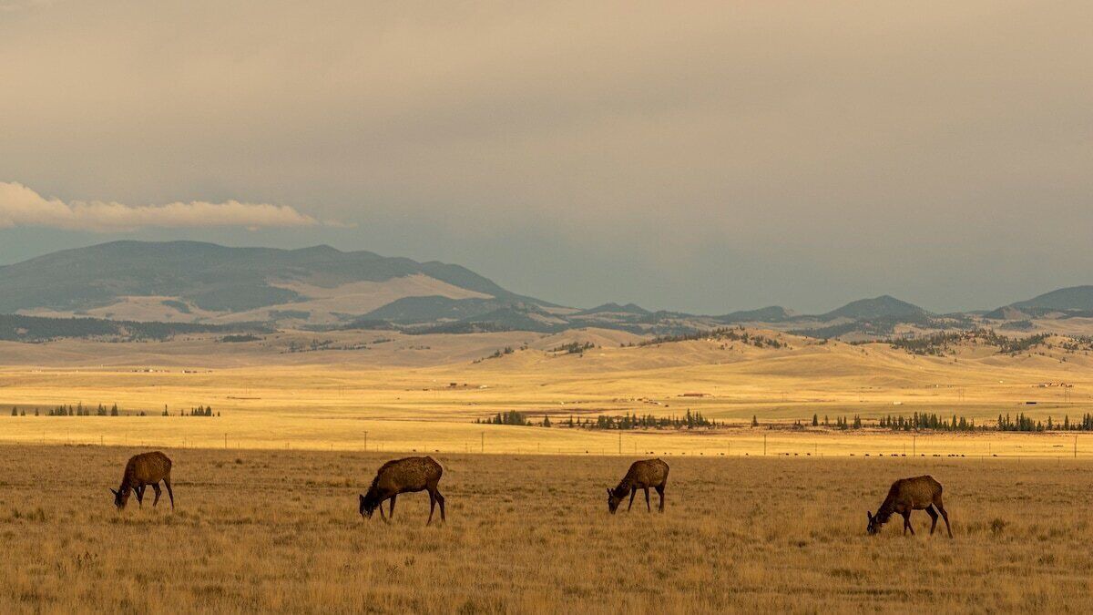 Photo of Others in Warm Springs