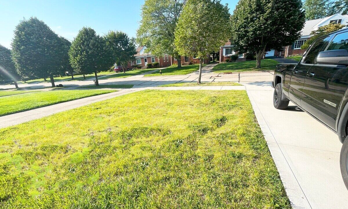Photo of Outdoor in Cleveland Heights