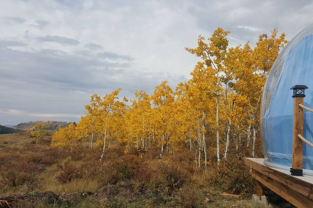 Photo of Outdoor in Waiparous Village