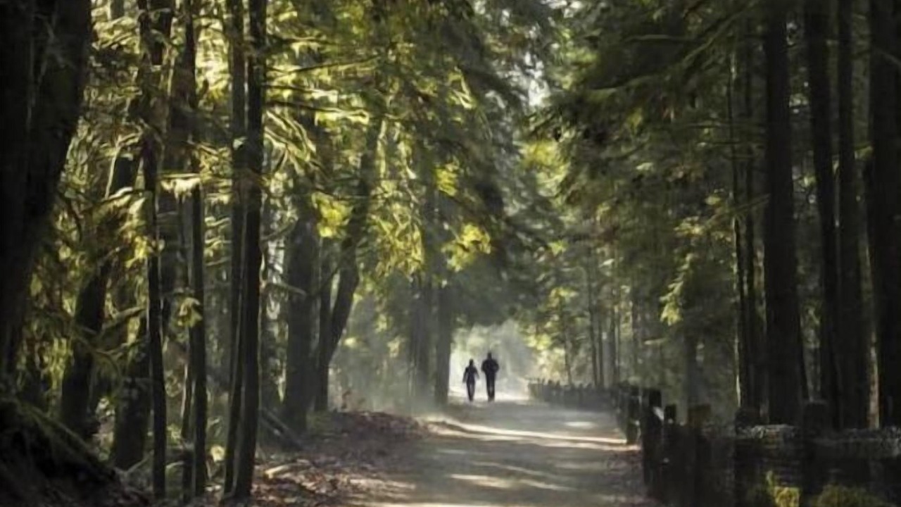 Photo of Others in Burke Mountain