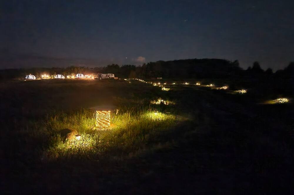 Photo of Outdoor in Bighorn No. 8