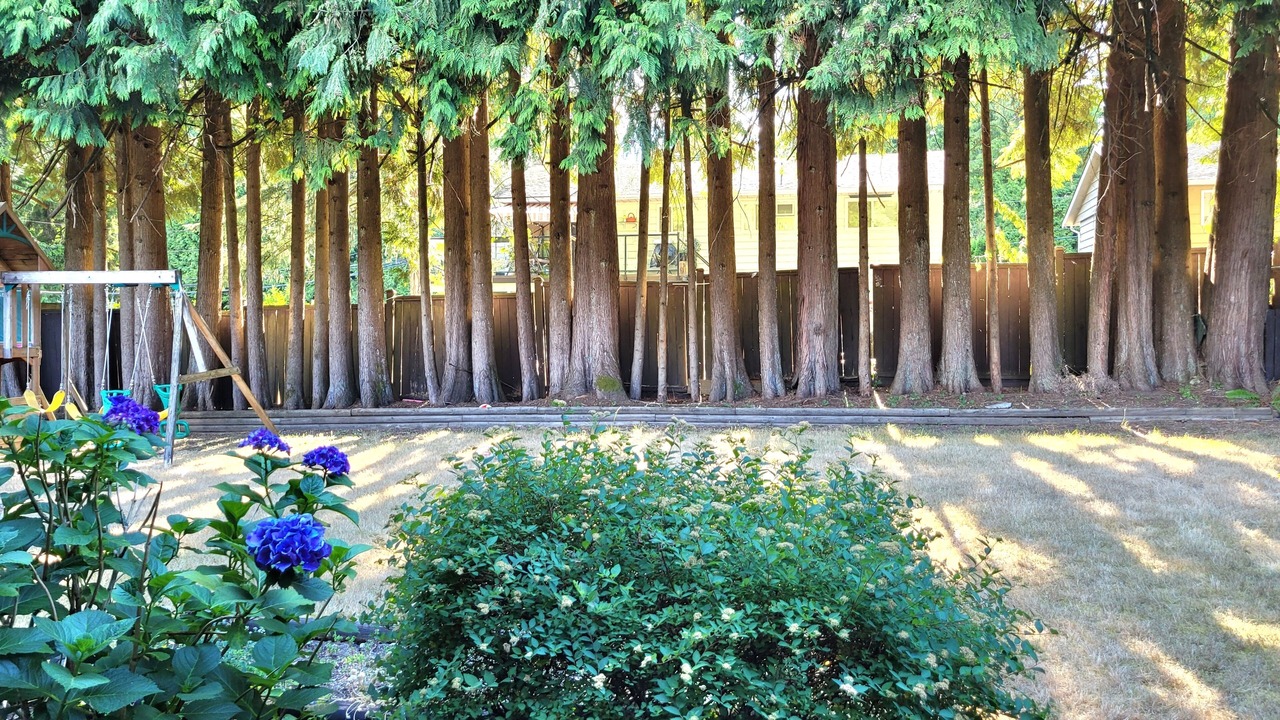 Photo of Outdoor in Port Coquitlam