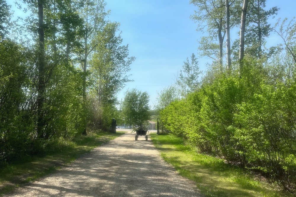 Photo of Outdoor in Central Alberta