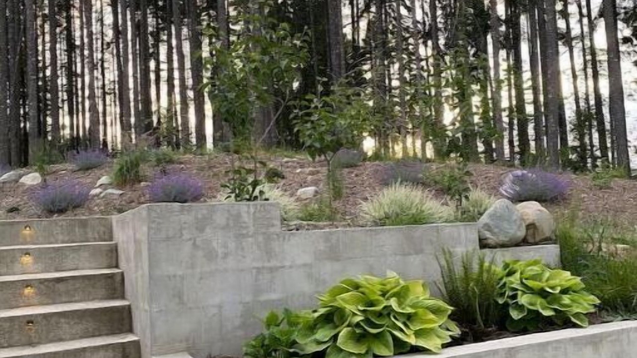 Photo of Outdoor in Duncan