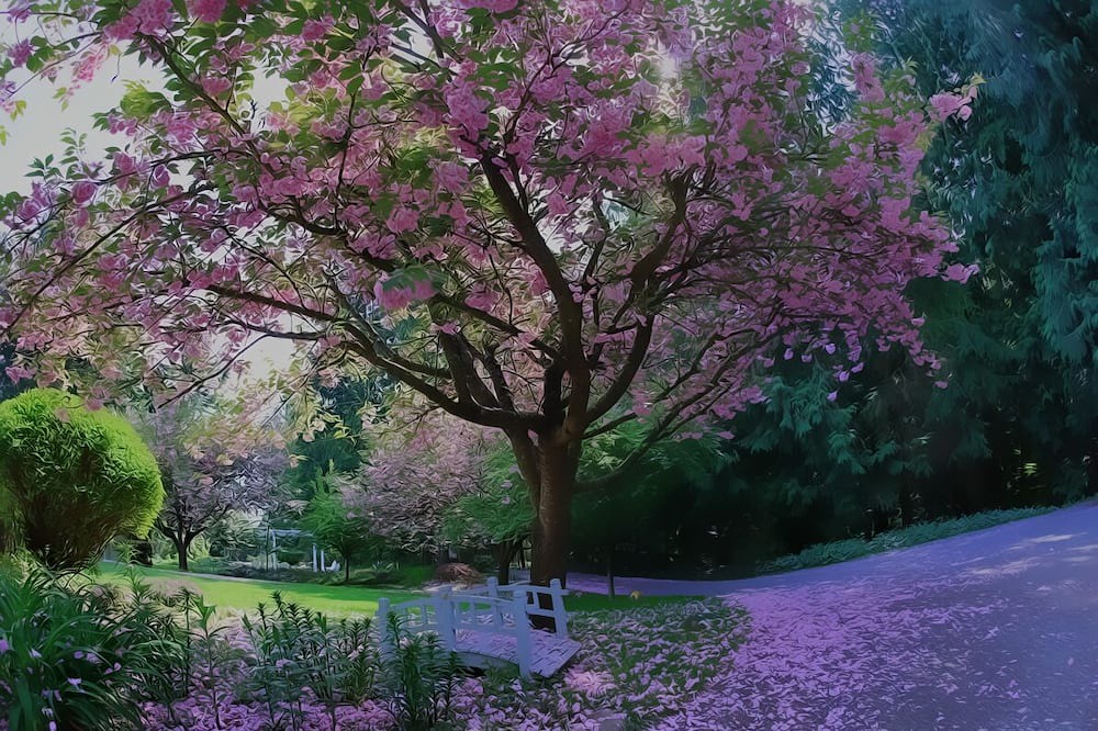 Photo of Outdoor in Cobble Hill