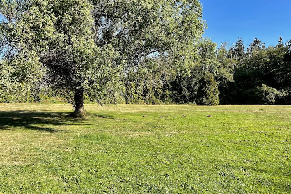 Photo of Outdoor in Surrey