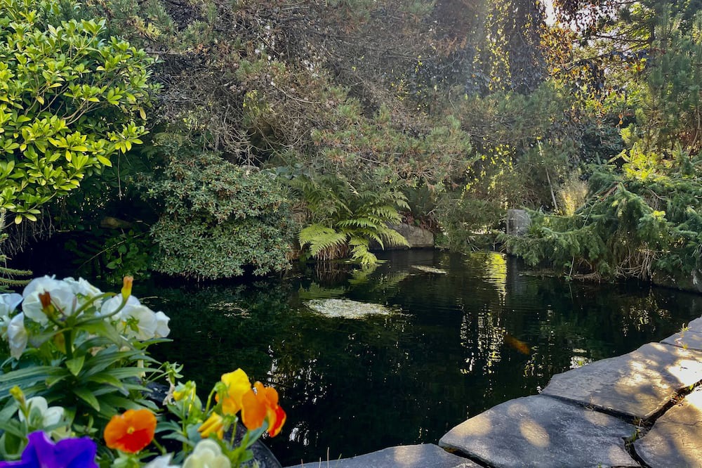 Photo of Outdoor in Surrey