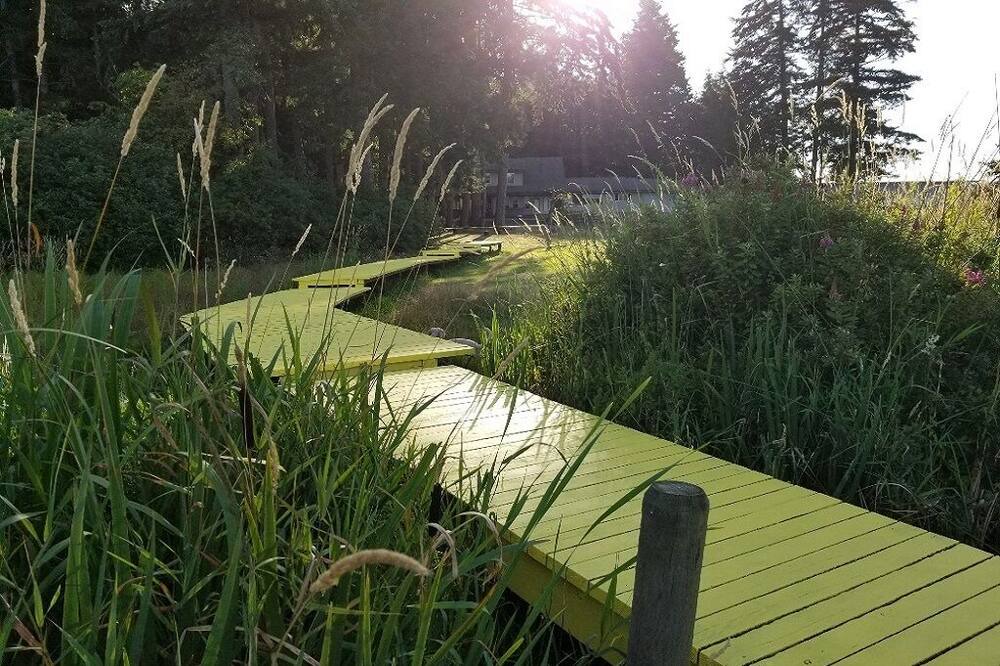 Photo of Outdoor in Yellow Point