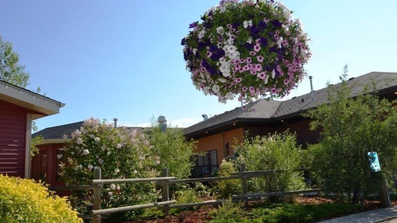 Photo of Outdoor in Westerose