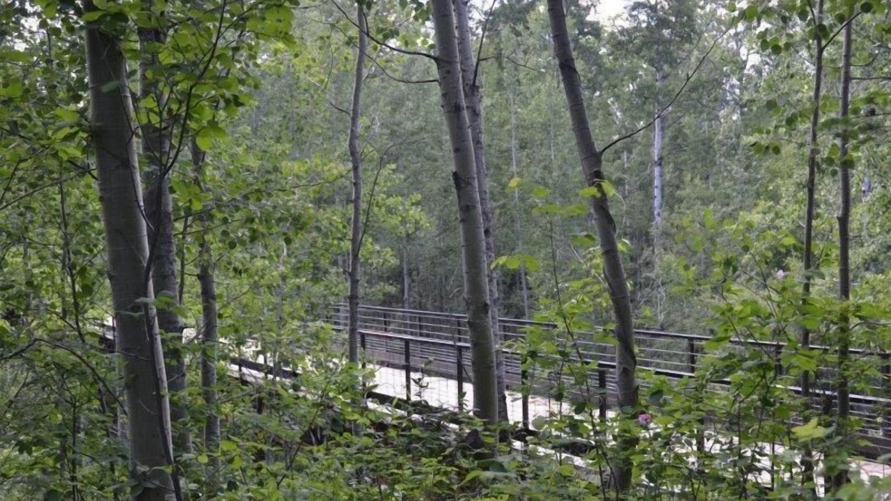 Photo of Outdoor in Westerose