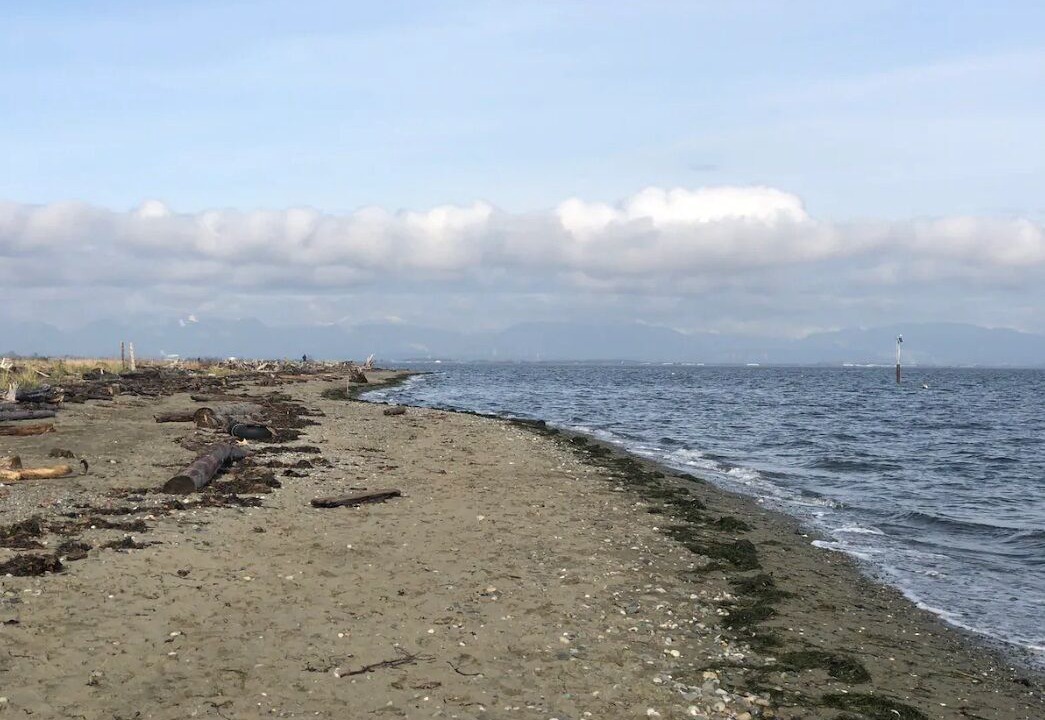Photo of Others in Boundary Bay