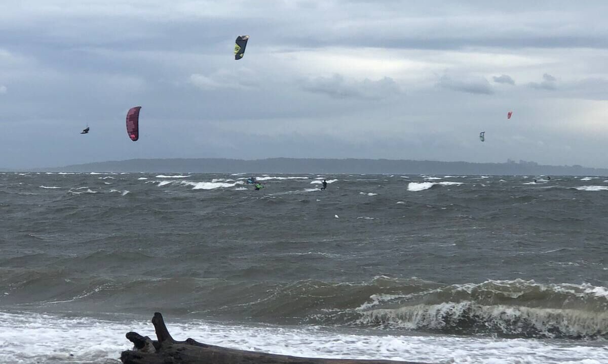 Photo of Others in Boundary Bay