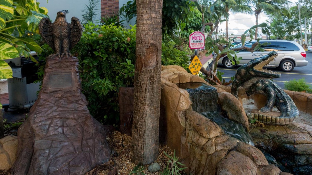 Photo of Outdoor in Hollywood Lakes
