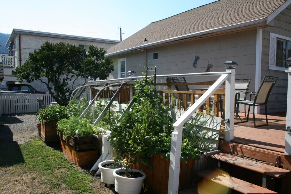Photo of Others in Okanagan-Similkameen