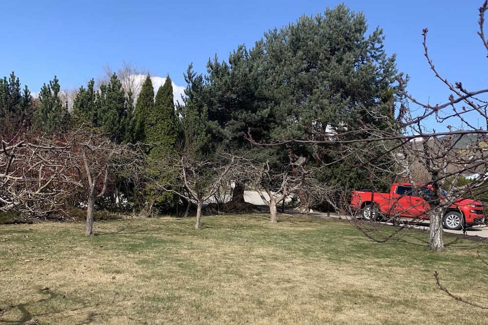 Photo of Outdoor in Central Okanagan