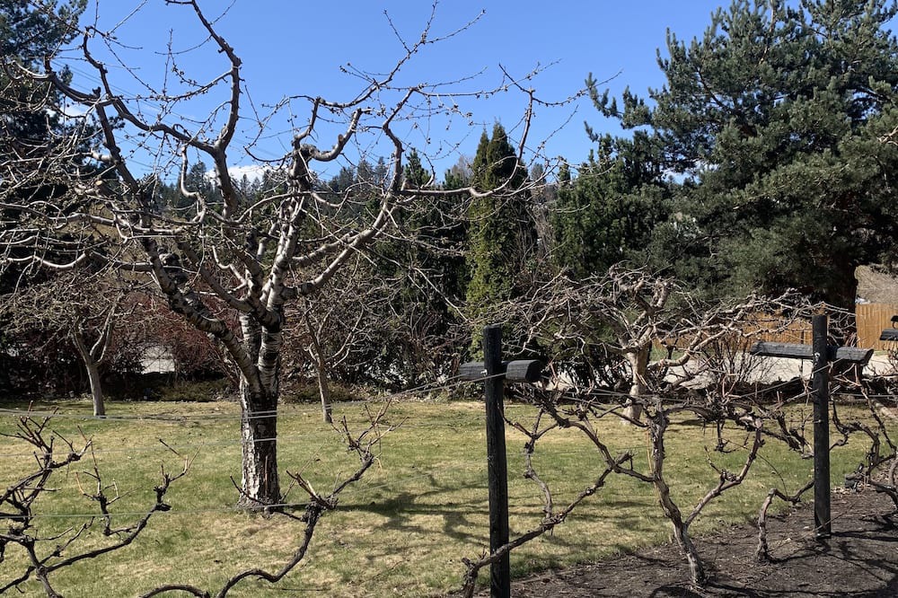 Photo of Outdoor in Central Okanagan