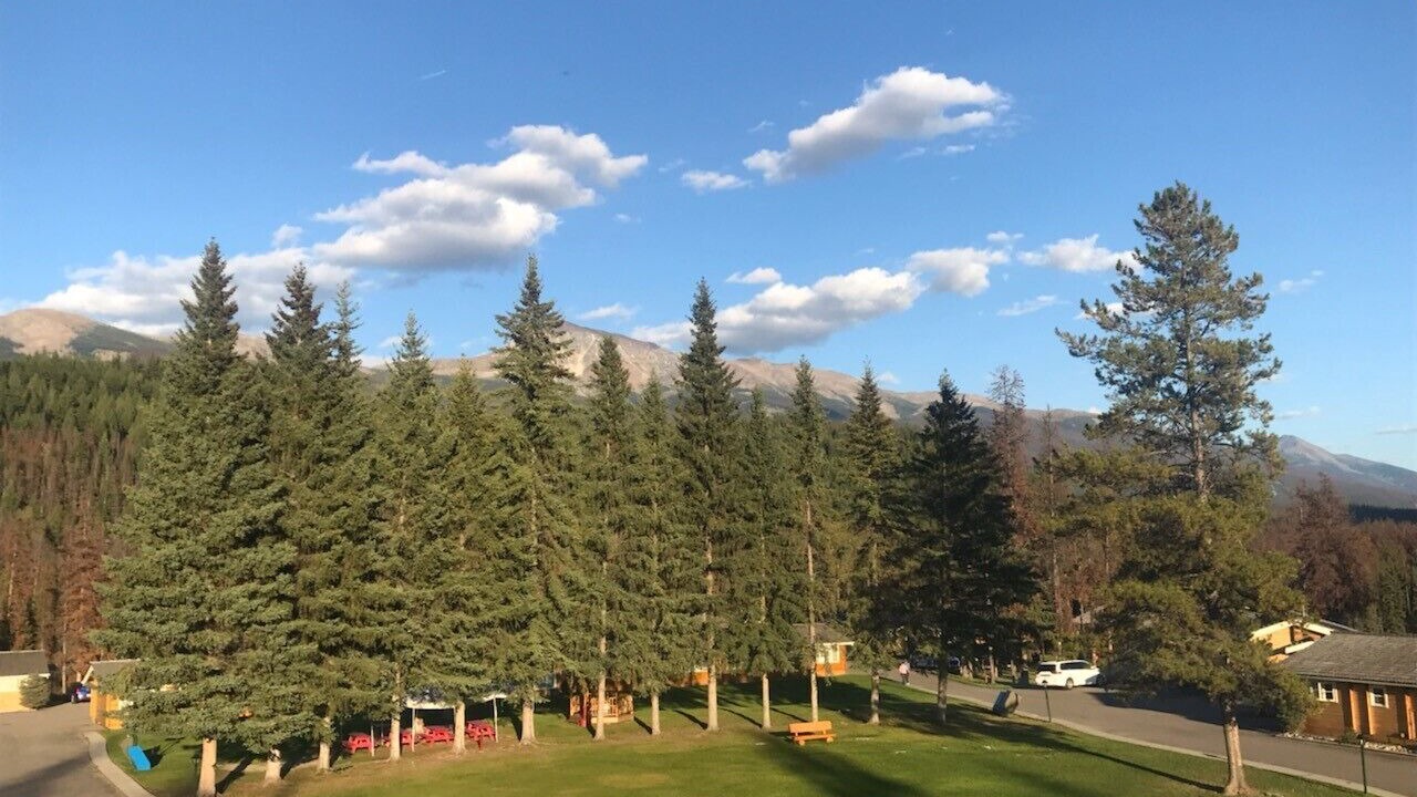 Photo of Outdoor in Jasper