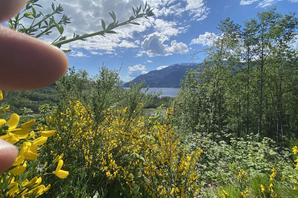 Photo of Outdoor in Britannia Beach