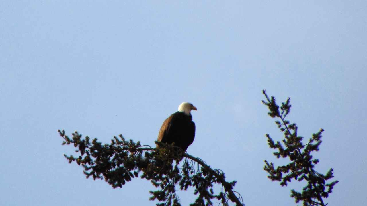 Photo of Others in Regional District of Nanaimo