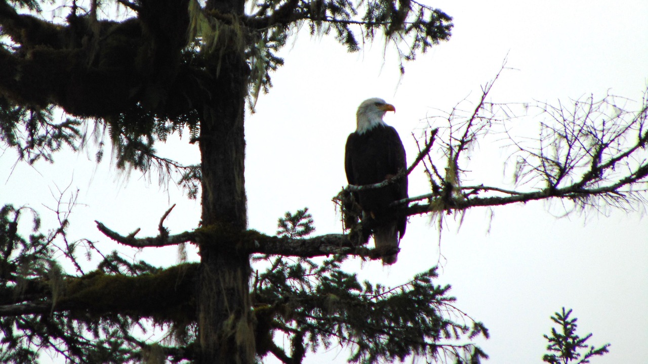 Photo of Others in Regional District of Nanaimo