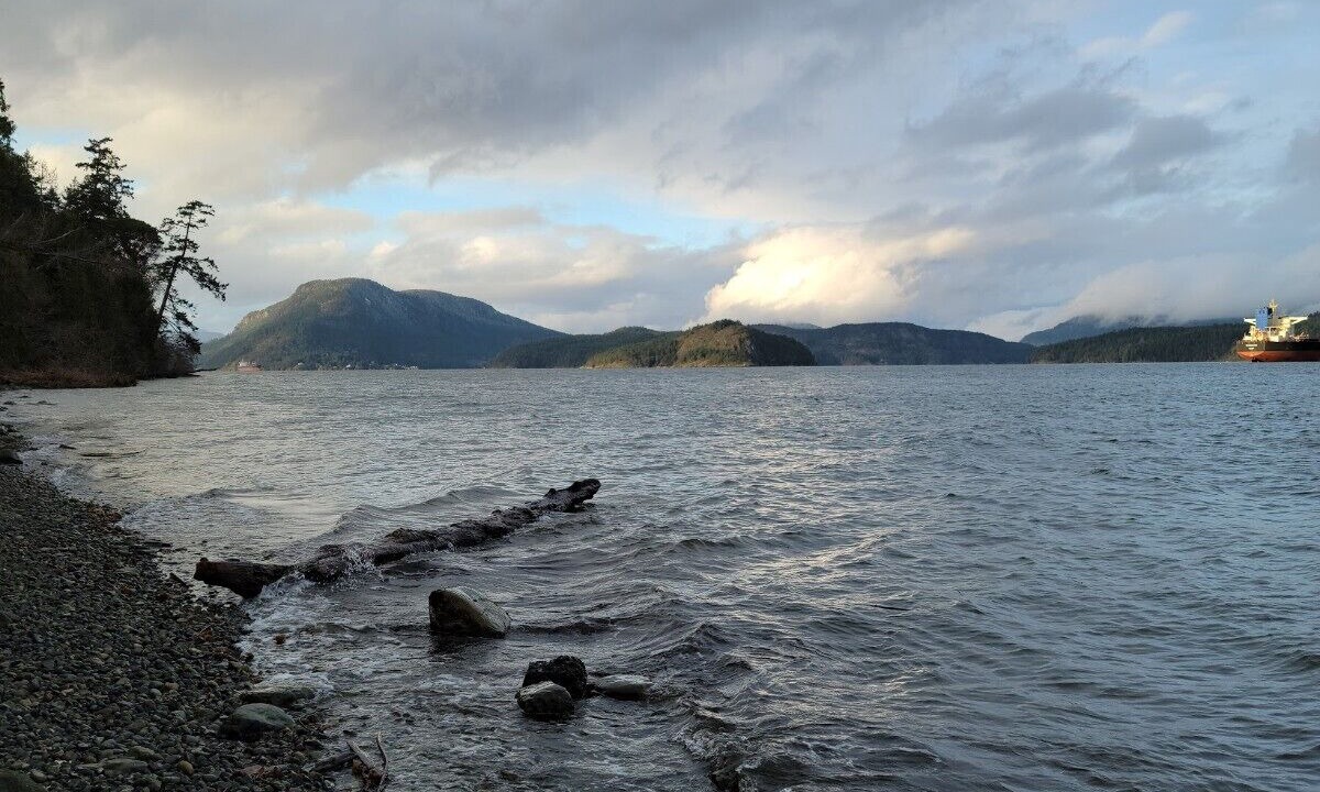 Photo of Others in Cowichan Bay