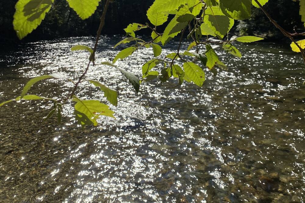 Photo of Outdoor in Port Moody
