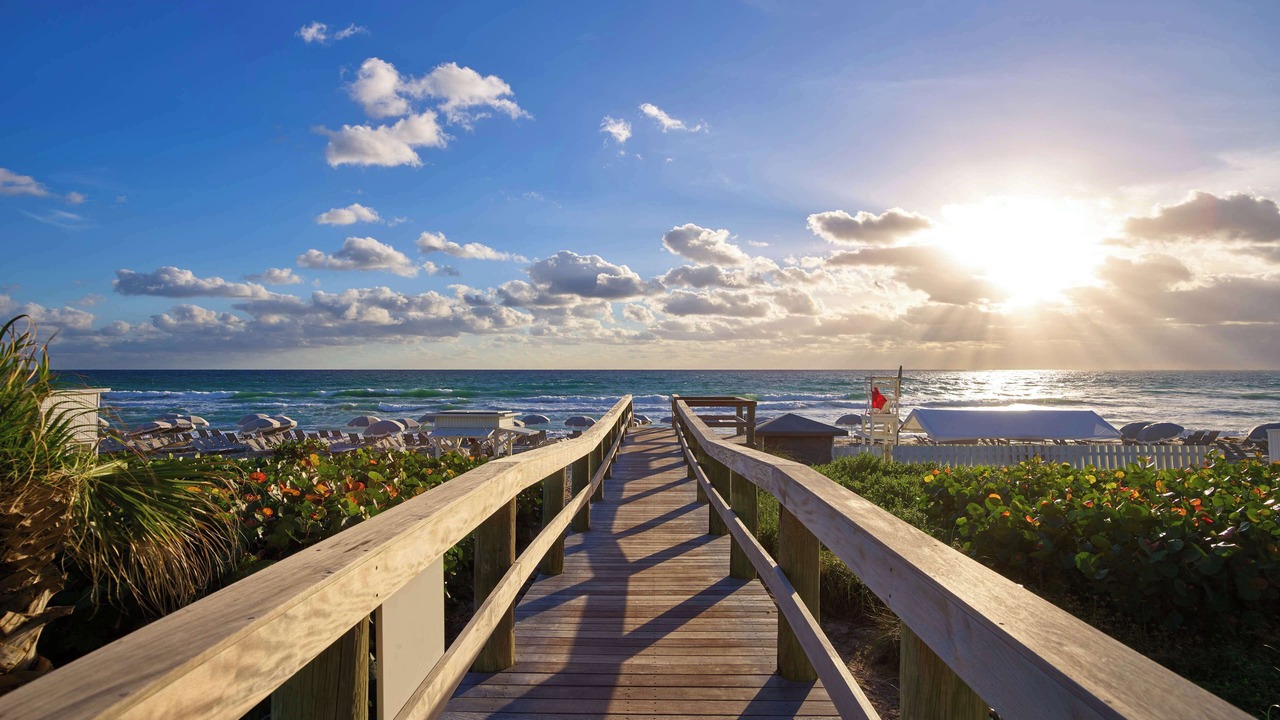 Photo of Others in Boca Raton