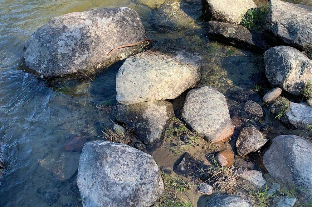 Photo of Others in Okanagan-Similkameen