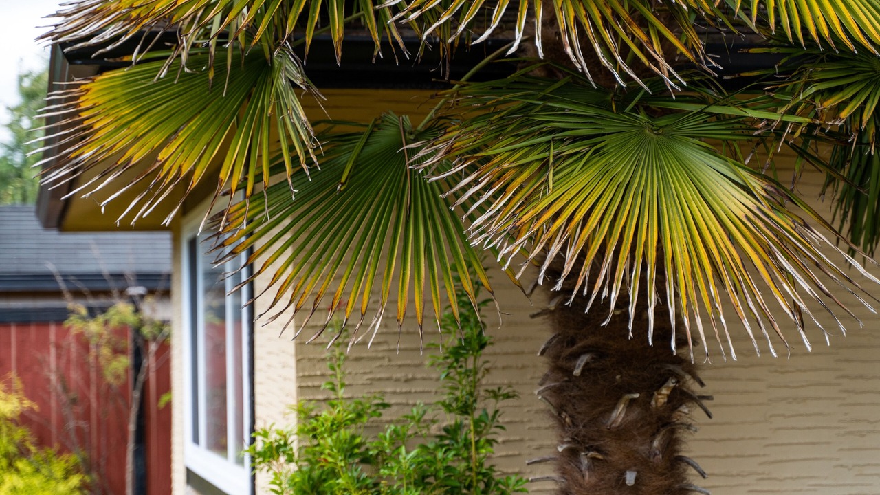 Photo of Outdoor in Victoria
