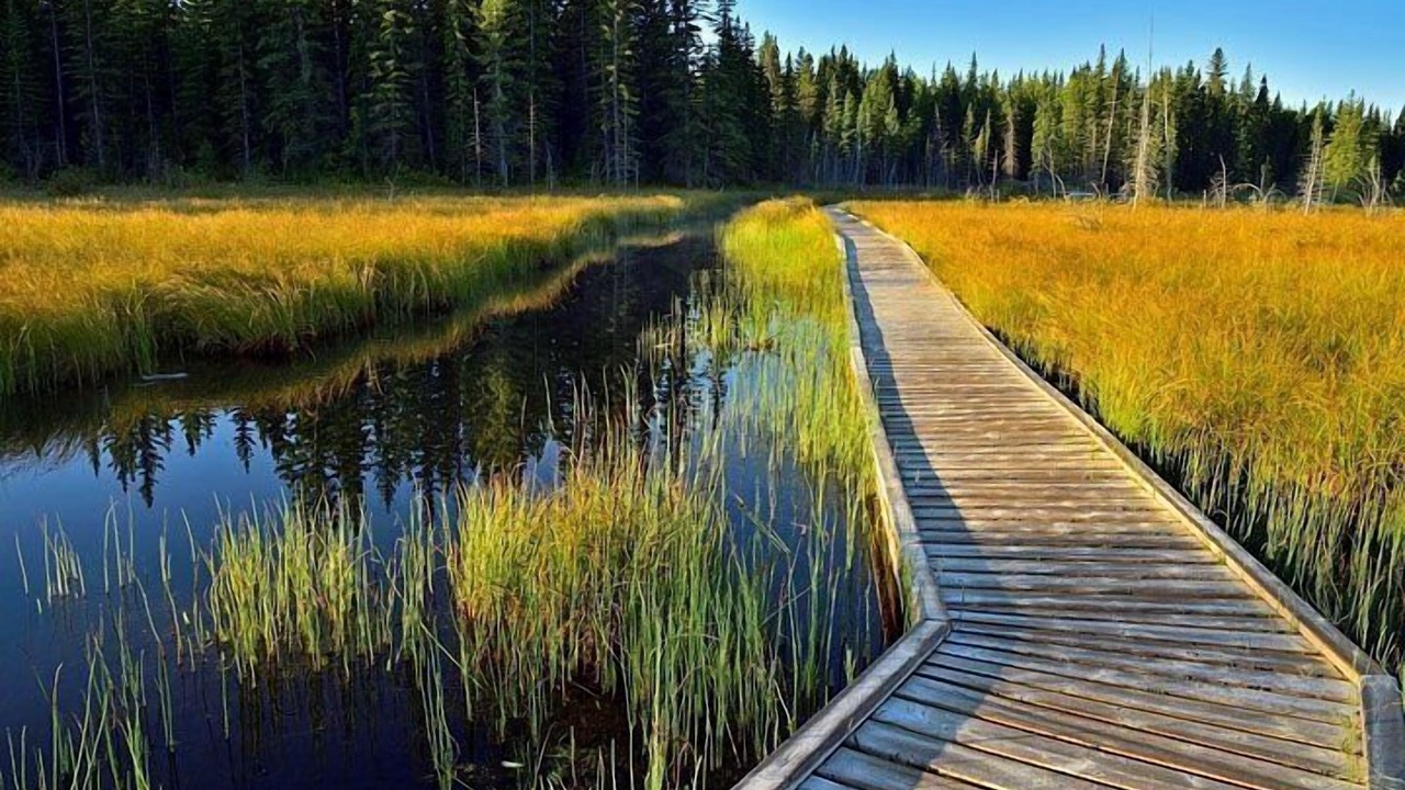 Photo of Outdoor in Hinton